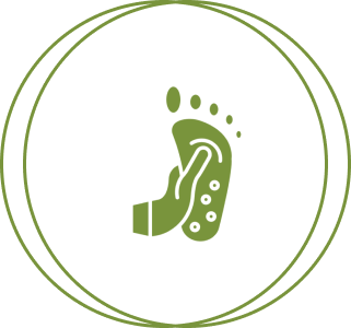 3 Icon 4 (1)